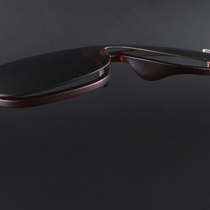 Mooze | Brown Wayfarer Polarized Sunglasses | PMG3978
