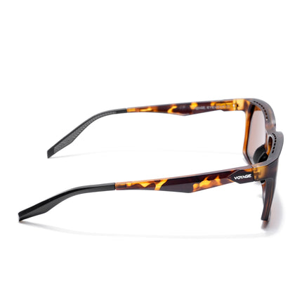 Wayfarer Polarized Sunglasses (Brown Lens | Demi Brown & Black Frame - PMG5288)