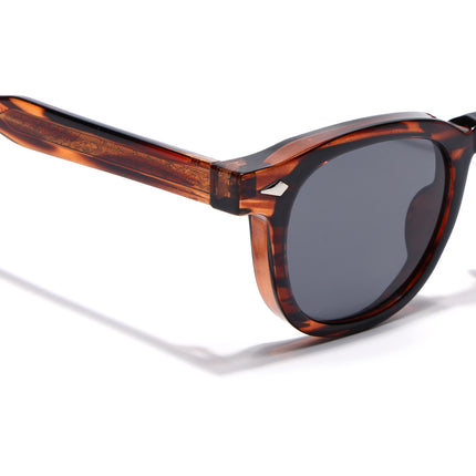 Wayfarer Sunglasses for Men & Women (Black Lens | Demi Brown Frame - MG8159)