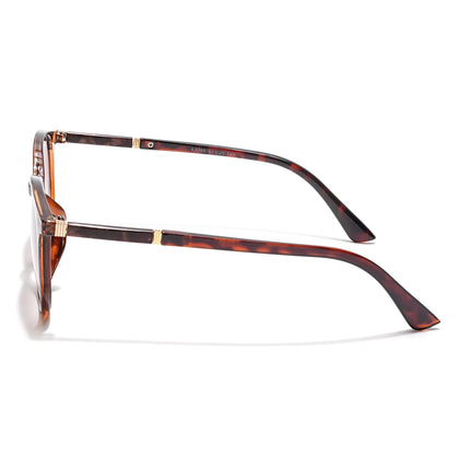 Round Brown & Clear Sunglasses - MG4269