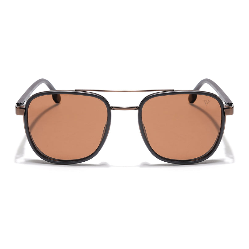 Wayfarer Polarized Sunglasses (Brown Lens | Brown Frame - PMG5528)