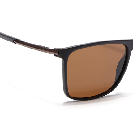 Wayfarer Polarized Sunglasses (Brown Lens | Brown Frame - PMG5047)